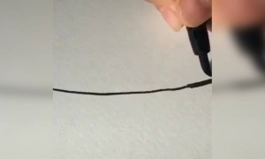 वाह क्या पेंटिंग है!