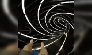 ये कितना मजेदार स्लाइड है