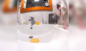 ये कैसा साबुन है भाई?