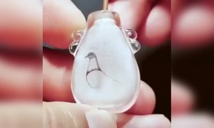 ऐसी अद्भुत प्रतिभा