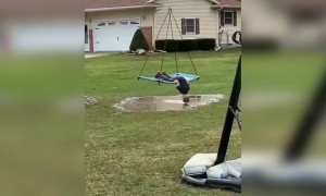 भाई ये कौन सा तरीका है झूलने का