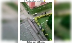 यह सबसे मजेदार वीडियो है