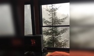 ऐसा एक घर किसको किसको चाहिए?