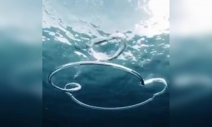 पानी के अंदर ये कैसे बनाते है?