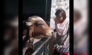 यह देखिए आज का सबसे अच्छा वीडियो