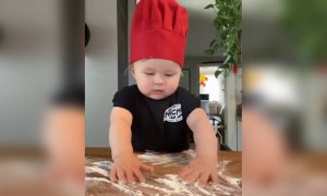 इससे ज़ादा क्यूट वीडियो आपने आजतक नहीं देखा होगा