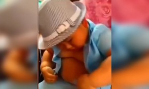 लॉकडाउन में घर बैठ कर मेरा भी यह हाल होने वाला है