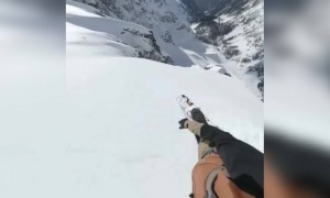 क्या आपने कभी स्नो स्केटिंग की है?