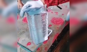 ये देखने में तो बड़ा ही मजेदार लग रहा है