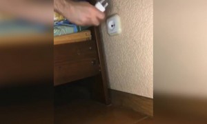 भूत आजकल ये करने लगे है