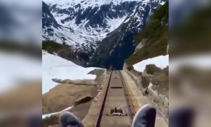 डरावना रोलर कोस्टर