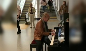 एक महान पियानोवादक