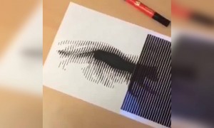 क्या शानदार पेंटिंग बनायीं है