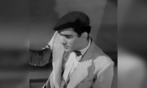 नरगिस के कितने फंस है यहाँ?