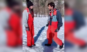 तुम बिन ऐसे मैं जैसे जल बिन मछली