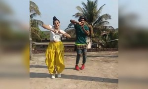 लाल गेंदा फूल पर डांस