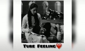 क्या आपको ये गाना पसंद है?