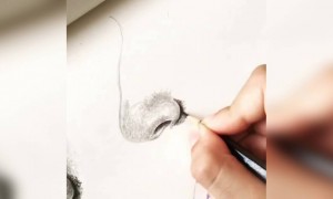 इसे कहते है रीयलिस्टिक पेंटिंग