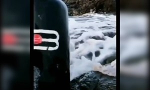 प्रमोद मानमानसे