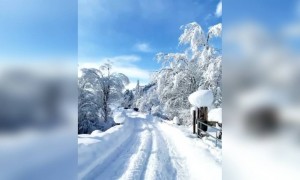 कितनी अच्छा नेचर है एक बार जरूर देखना !