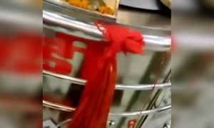 जय भवानी