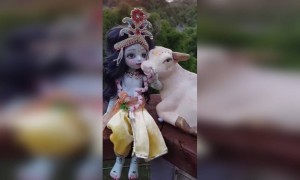 हरे गोविंदा हरे गोपाला