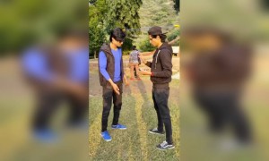 गिरे हुए बिस्कुट ...