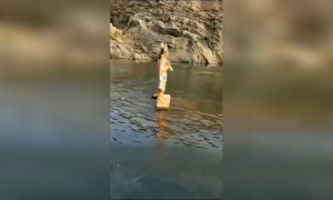 जय हनुमान ज्ञान गुण सागर!!