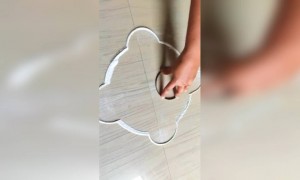 हर कदम कदम पर धरती बदले रंग