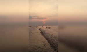 दिल का दरिया बेह ही गया