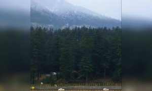 हाथ ना छूटे रांझा वे