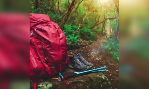 राष्ट्रीय पर्यटन दिवस की मंगलकामनाएं