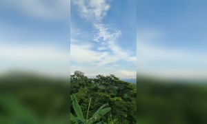 आय लव यू,......