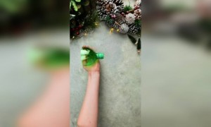 संग तेरे पानियों सा,..