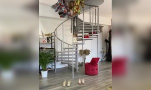 कपड़े फेंके और बन गई लड़की ...