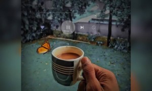 चाहे दुःख हो चाहे सुख हो