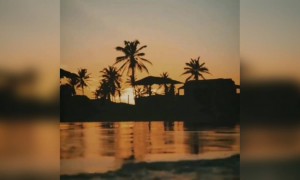 ब्यूटीफुल नेचर