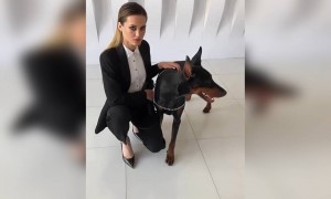 कुत्ते के साथ फ़ोटोशूट  ...