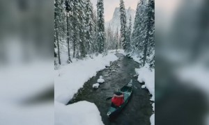 जबरदत्स वीडियो एक बार जरूर देखना !