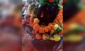 ॐ नमः शिवाय शिव
