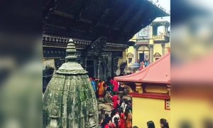 नमो नमो शंकर!