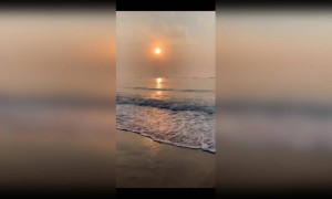 सुबह सुबह बीच का नज़ारा ....