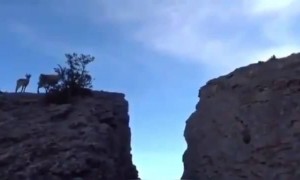 क्या आप इतना हाइट जम्प कर सकते हैं?