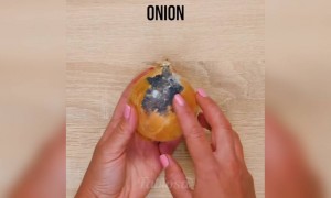 ऐसे रखें सब्जियों को ज्यादा देर तक ताज़ा