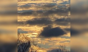 सनराइज का वीडियो एक बार जरूर देखना !