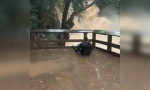 और लो नज़ारे