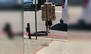 और खेलो स्टंट ...