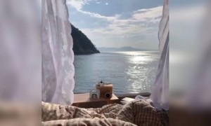 मॉर्निंग,...