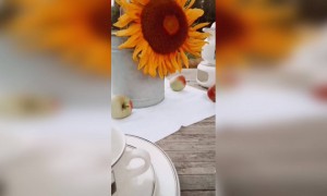 कॉफी टाइम