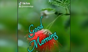 गुड मॉर्निंग,.....